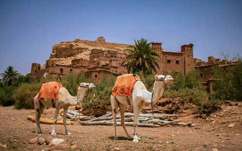 Ait Ben Haddou & Telouat Valley Private Day Tour from Marrakech