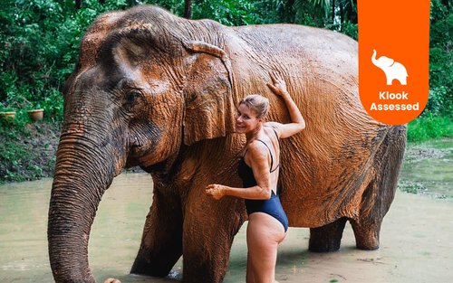 Trải Nghiệm Vui Đùa Cùng Voi ở Krabi