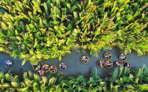 From Da Nang: Coconut Forest &  Hoi An Ancient Town Half-Day Tour