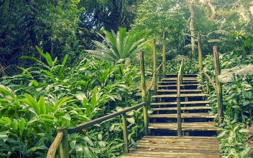 Best Of Nadi Sightseeing Tour