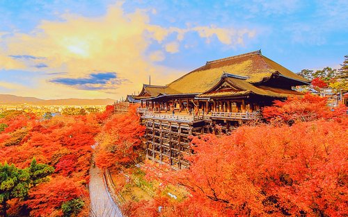 京都奈良一日游 │ 清水寺+伏见稻荷大社+奈良公园（大阪/京都出发）