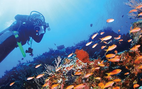 沖繩恩納村青之洞窟浮潛 ＆ 深潛體驗