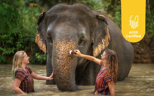 Elefanten-Dschungel-Schutzgebiet Phuket Erlebnis
