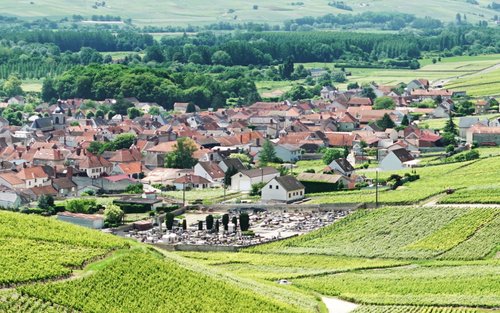 Champagne Region Day Tour with Wine Tastings from Paris 