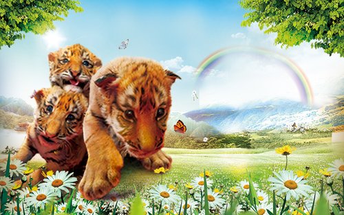 হ্যাংজু ওয়াইল্ডলাইফ ওয়ার্ল্ড টিকিট