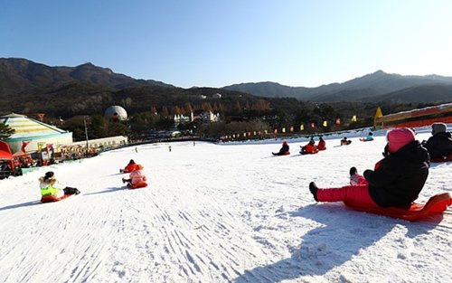 Tour có hướng dẫn viên cả ngày đến Seoul Land & Grand Park kèm đưa đón