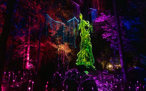 蘭卡威Dream Forest門票