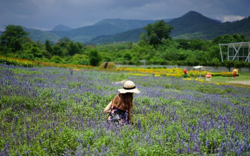 KhaoYai All-Time Favorites Privéauto vanuit Bangkok door TTD