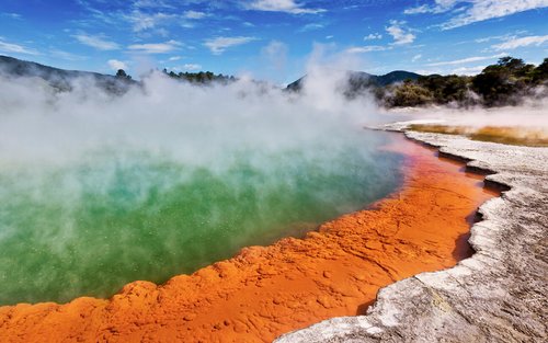 奥克兰出发超值三重奏 - 怀欧塔普、红木森林及蓝泉