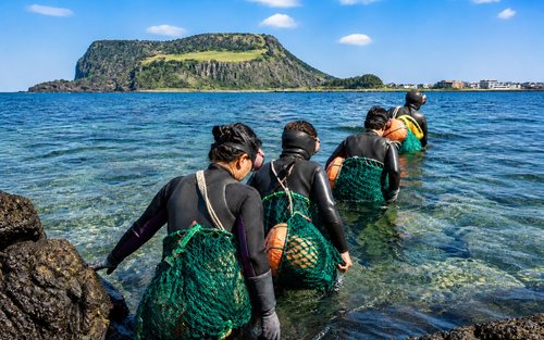 Jeju UNESCO Sites Full-Day Group Tour