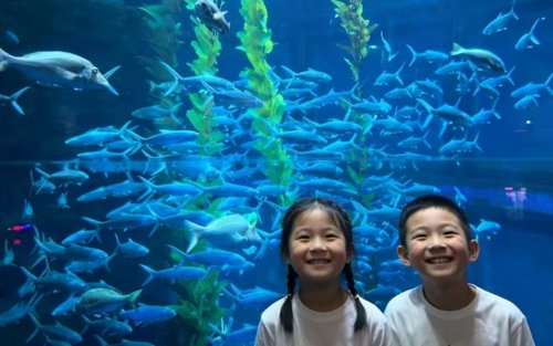 沖縄美ら海水族館＆ブセナ海中公園1日ツアー
