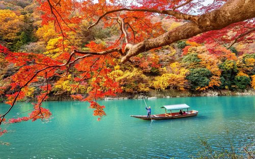大阪出发丨关西地区客制化包车一日游（大阪/京都/奈良/神户/和歌山）