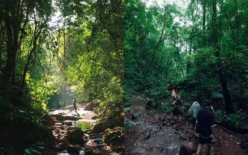 【私享团】云南景迈山普洱疗愈度假5日