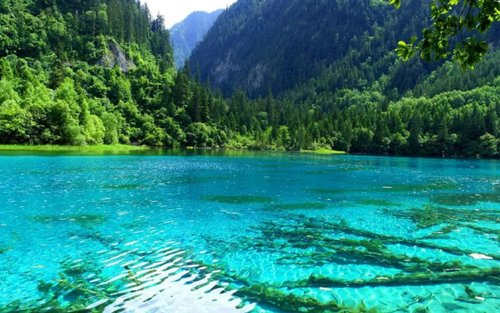 2,5hodinový zážitek v malé skupině v národním parku Jiuzhaigou