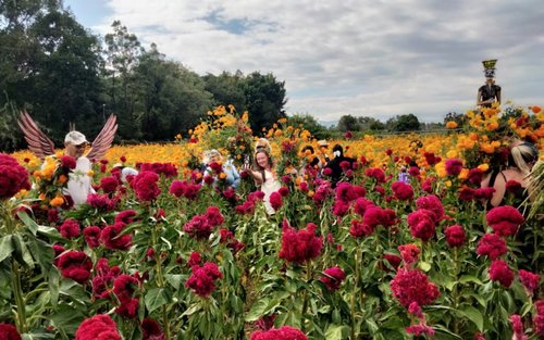 瓦哈卡亡灵节「回忆祭坛」文化体验