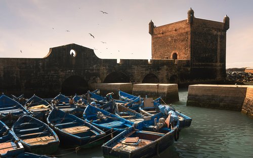 Essaouira Guided Day Trip From Marrakech