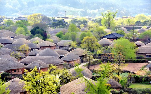 Busan Suncheon Bay & Seonamsa Temple Small Group Tour