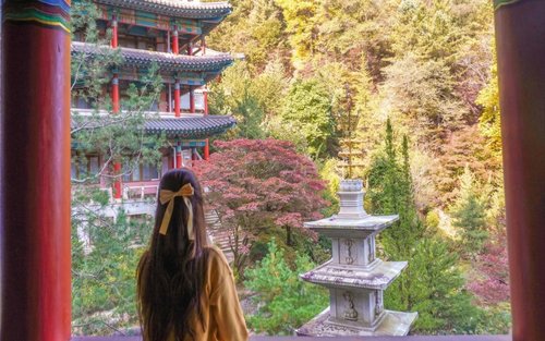 [2D1N] Korea’s Hidden Gems: Danyang & High1 Resort Nature Healing