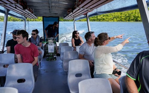 Excursió de mig dia per la tarda a la selva tropical de Daintree