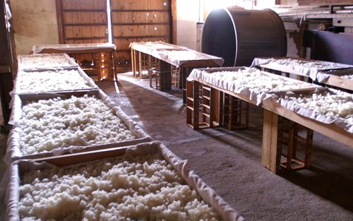 Osaka Katano: Tour por la fábrica de sake Yamano con degustación