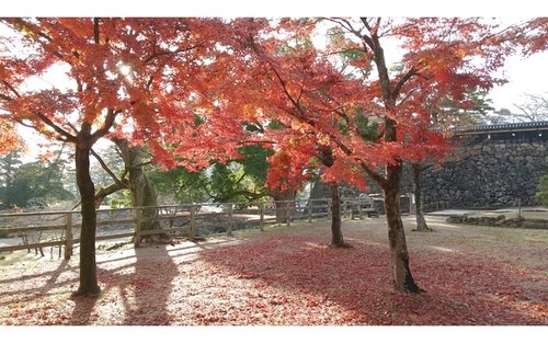 Εισιτήριο εισόδου για το Κάστρο Matsue (Σιμάνε)