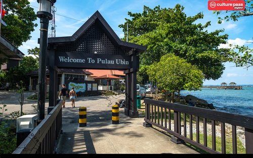 Roots & Flavours: A Pulau Ubin Discovery
