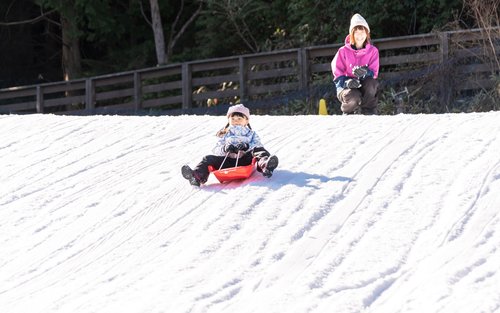 From Osaka - Ski/Snow Play at Mt.Rokko & Arima Onsen One Day Tour