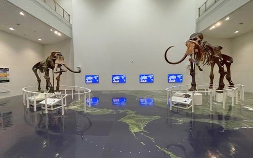 北海道開拓の村：旅行前に知っておきたいおすすめ情報