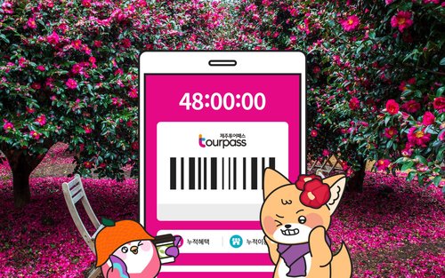 제주투어패스 자유이용권