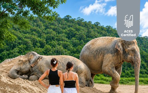 Freedom Elephant Reserve Phuket 