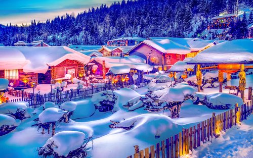 Een dagtocht naar het rendierenpark in Sneeuwdorp, Harbin