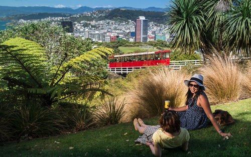 From Cave to Coast Wellington Highlights Tour
