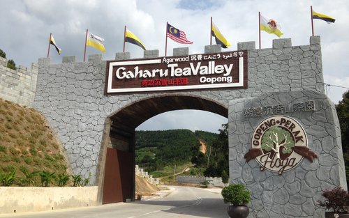 Ipoh Perak Cave Temple & Kellie's Castle Full-Day Private Tour