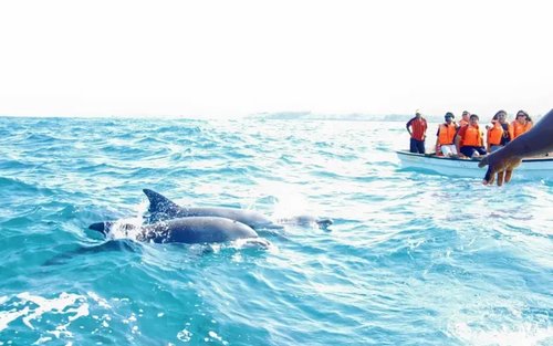 Key West Day Trip with Dolphin Watch Snorkel Tour Option