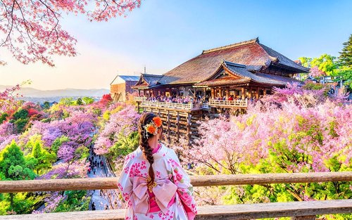 Kyoto and Nara Day Trip | Kiyomizu-dera Temple + Fushimi Inari Shrine + Nara Park (Departure from Osaka/Kyoto)