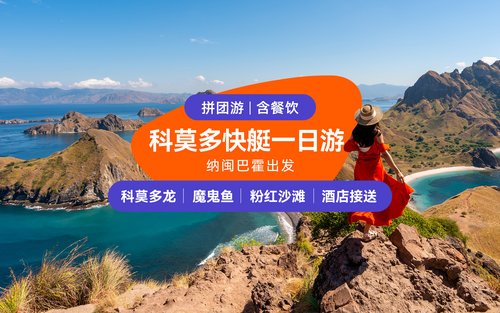 科莫多島快艇一日遊（East Cruise Komodo提供）