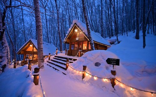 [한국인 투어 & 리뷰 이벤트] 삿포로 비에이 후라노 ☃️ 일일 현지 버스투어 쥰페이 도시락 예약 소소버스투어
