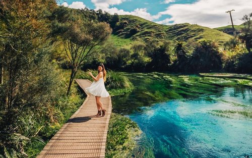 Auckland Blue Spring & Waiotapu National Park Tour