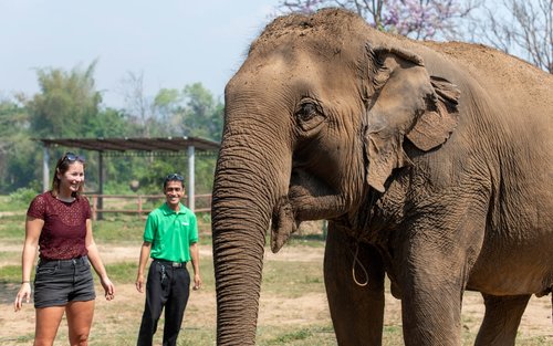 Elephant Sanctuary & Erawan Waterval Volledige Dag Tour vanuit Bangkok
