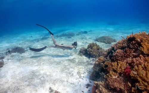 2-Day SSI Level 1 Freediving Certification in Batangas