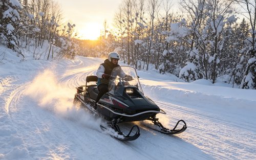 Hokkaido Asahiyama Zoo & Shikisai-no-Oka & Biei Christmas Tree & Ningle Terrace Day Trip: Departing from Sapporo (Winter option: Snowmobile)