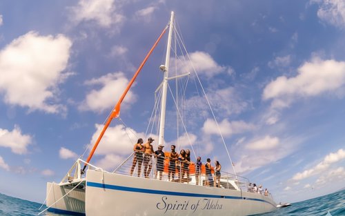 Waikoloa Turtle Snorkel Sail With Optional Lunch in Hawaii