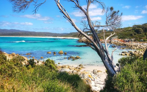 火焰灣及比納隆灣全日遊