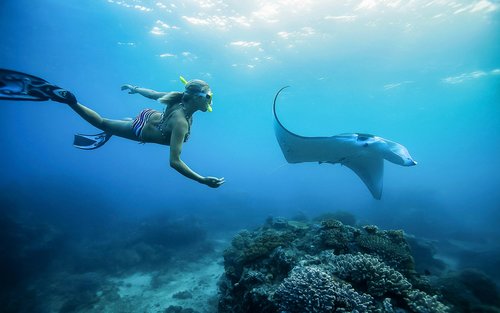 Mantaray-snorkling dagstur i Nusa Lembongan og Nusa Penida