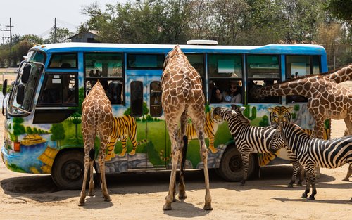 Excursió privada de dia complet al parc safari de Kanchanaburi i al pont del riu Kwai