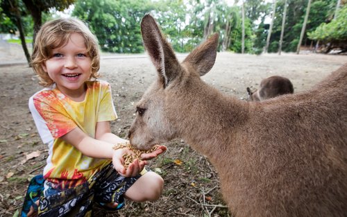 Wildlife Habitat Port Douglas jegy Cairnsben