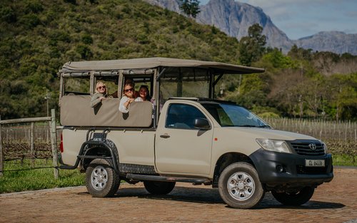 Trải nghiệm Safari nếm rượu vang nửa ngày ở Stellenbosch