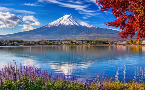 Tokyo Mount Fuji & Tasik Kawaguchi Lawatan Peribadi Sehari Penuh