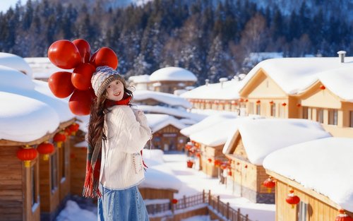 Harbin & Snow Town 2-Day Tour