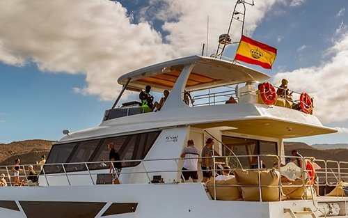 Catamaran cruise experience in Gran Canaria